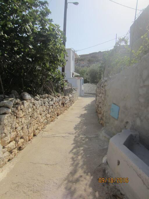 Villa Nesea 2 à Pserimos Town Extérieur photo
